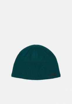 The North Face BONES RECYCLED BEANIE UNISEX - Beanie - Ponderosa Green